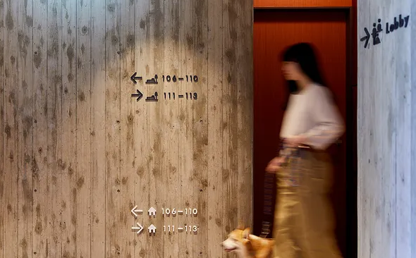 深圳logo設(shè)計(jì)作品案例展示