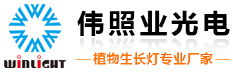 偉照業光電