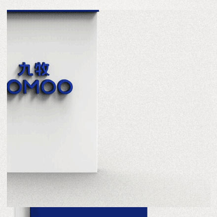 鉆石項(xiàng)鏈品牌vi設(shè)計(jì)公司案例作品