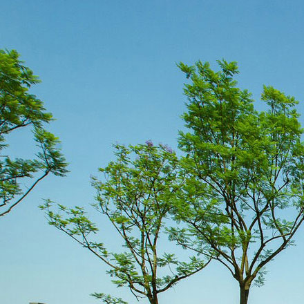 湛江vi設計公司