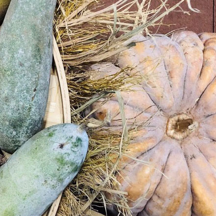 西服品牌vi設計公司案例作品