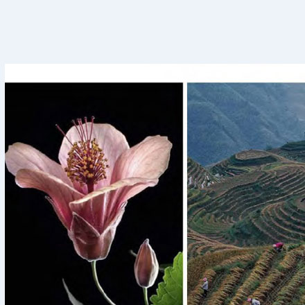 深圳vi設計作品案例展示